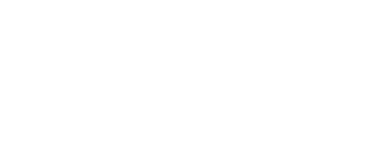 ns logo comp blanco2